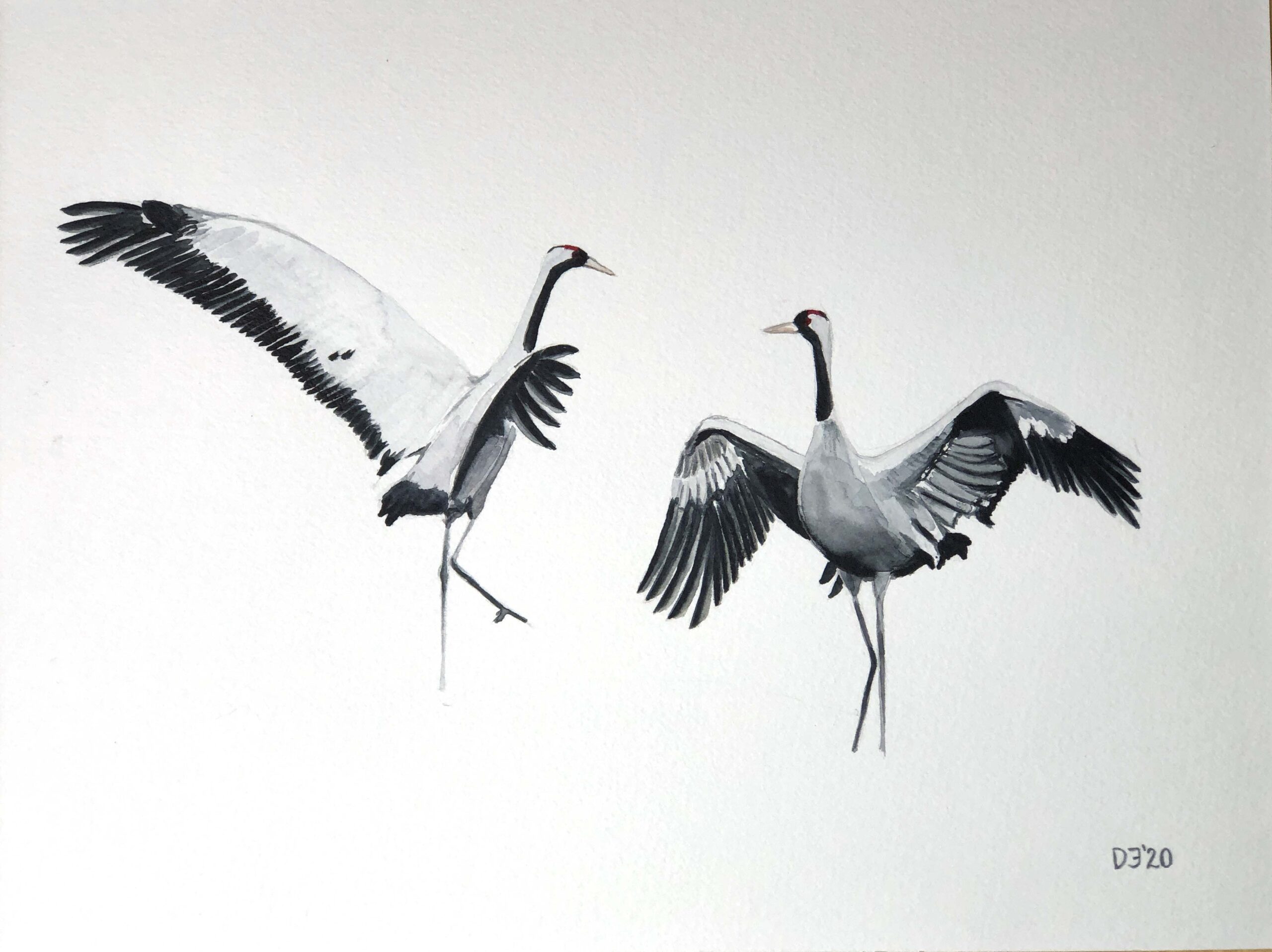 202001_TwoCranes